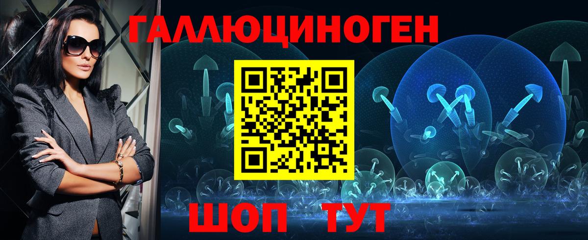Галлюциногенные грибы Psilocybe  Вход с VPN  Каменка 